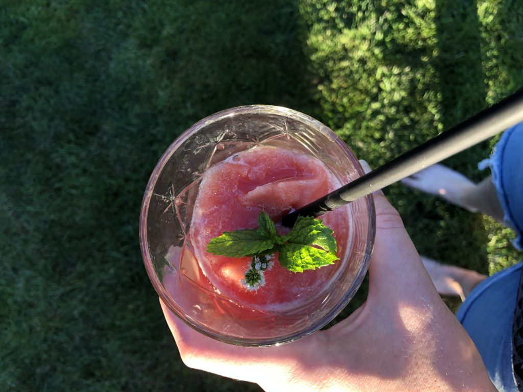 Wassermelonengranita Thermomix Erfahrungsbericht