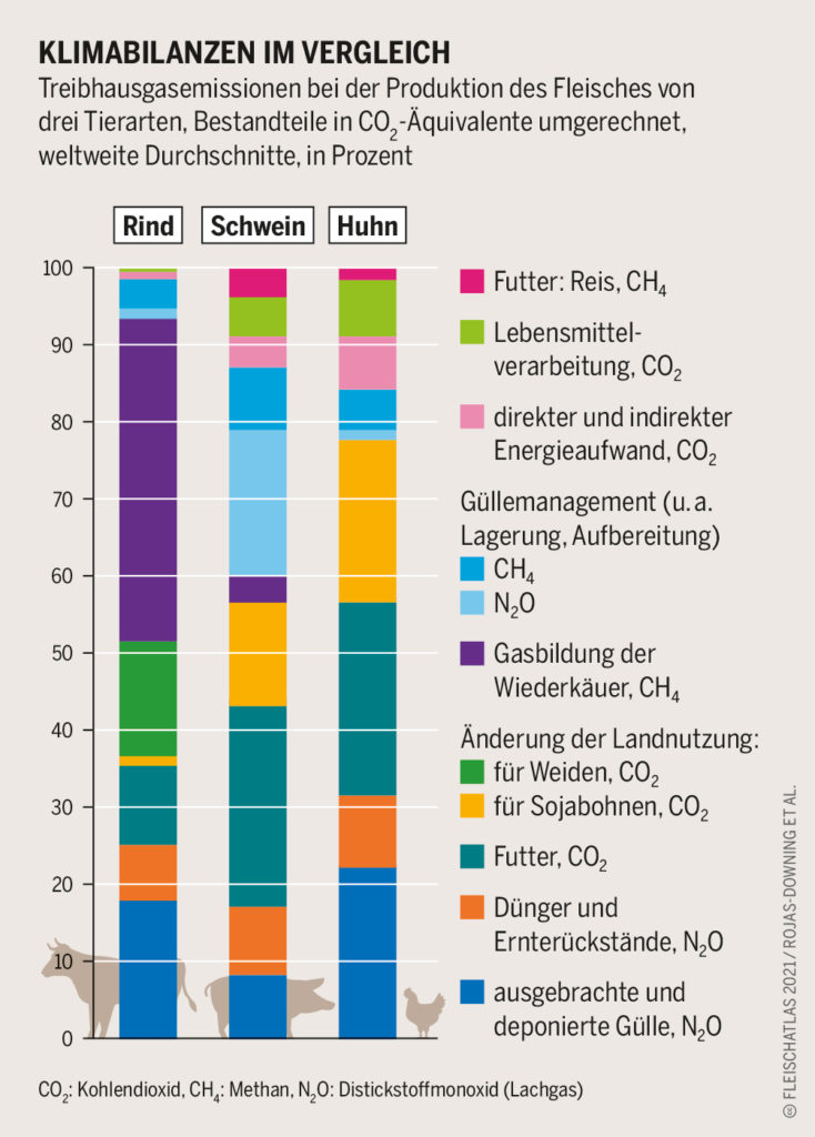 Klimabilanz Fleischsorten