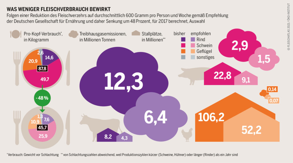 Was bewirkt weniger Fleisch