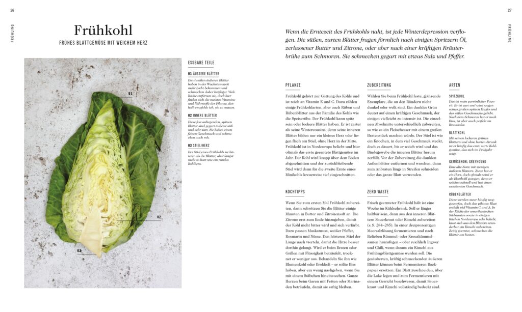 Frische Gemüseküche, DK Verlag, James Strawbridge, oto aus Leseprobe