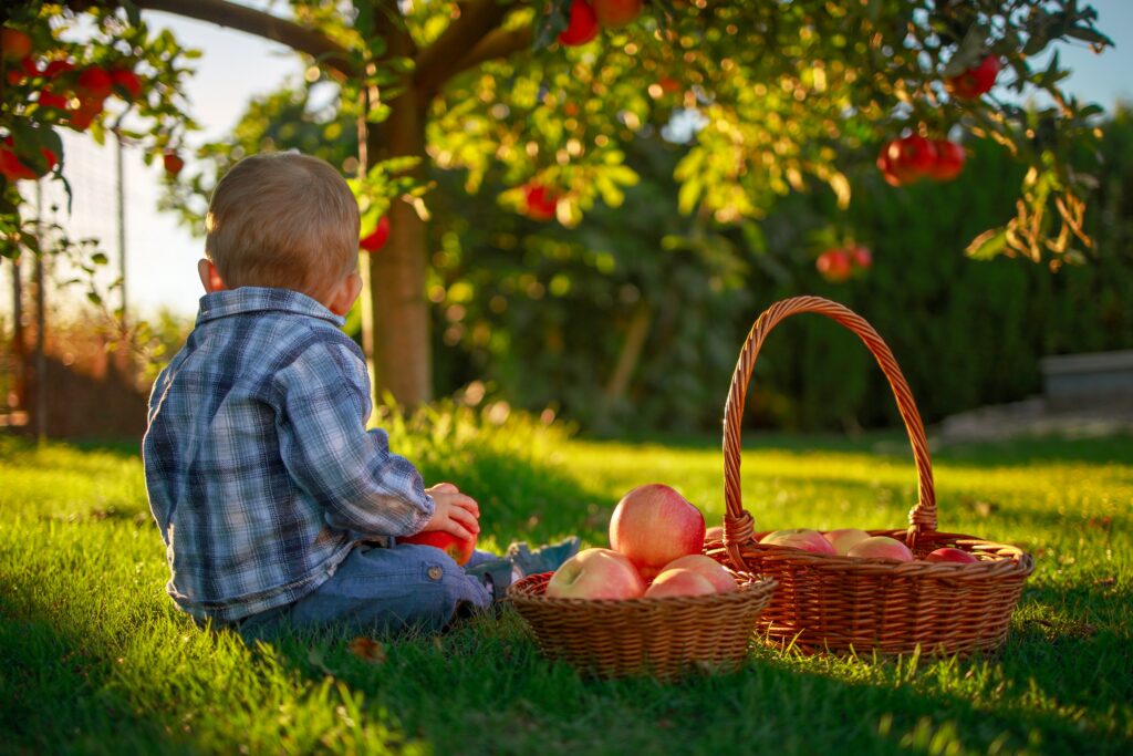 low hanging fruits