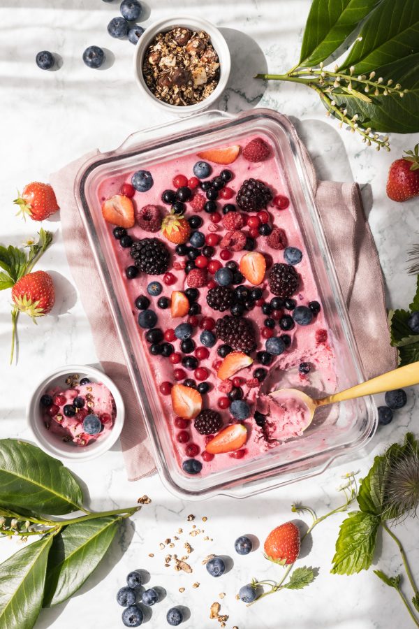 8J1A1063 Früchteeiscreme