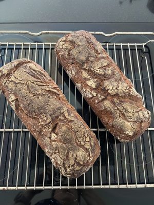 IMG_8831 fertiges Roggenvollkorn-Sauerteigbrot nach einem Rezept von Lutz Geißler